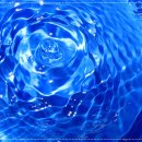 싱싱한 생선나라 이미지