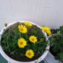 엘림햇살 이미지