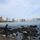 마라도회집 이미지