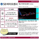 매일에스디