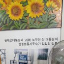 바보면가 이미지