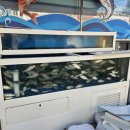 하대동294 이미지