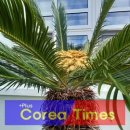 고흥-10호 이미지