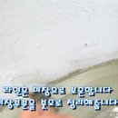 정원미장