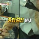 박성준 농장 이미지