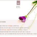 들국화가든 | 오늘의 가든-계절 꽃다발 생화 수확 /소요 기간