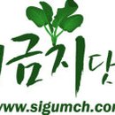 바디짐 휘트니스 클럽 이미지