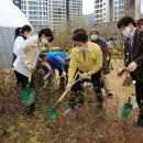 과천시 중앙공원 이미지