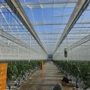 유성농장 4농장 이미지