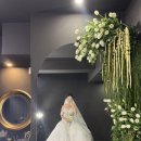 시크릿 | [웨딩] 본식 드레스 셀렉 후기 : 광주 시크릿 드레스