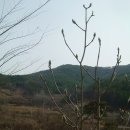 소례 이미지