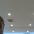 플룻 Daum카페