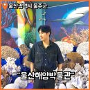 울산해양박물관 실내 가볼만한곳 세계 희귀 산호와 패류를 만날 수 있는 곳