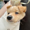 오라고동물병원 이미지