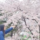 2박3일 첫 캠핑여행/가평 오스트리아 캠핑장/강원도 고성 백도캠핑장/설악젤라또/카페옥남/카페녹화/닭개장
