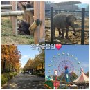 볼 때리는 집 | 전주 동물원 놀이공원 아이랑 가볼만한곳 소요시간 후기