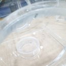 영남덴탈 이미지