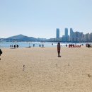 호텔아쿠아팰리스지점 | 축제 짐보관] 오션뷰 아쿠아펠리스호텔, 아쿠아팰리스 호텔 24시 찜질방 근처 켄트호텔 물품보관함 위치