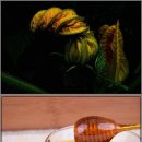 파워 스트레칭 이미지