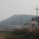 궁항길 이미지