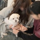 동물은 내친구 동물병원 이미지