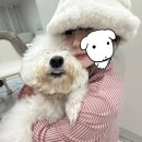 딸랑몰 이미지