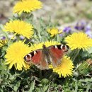 (주)진리 이미지