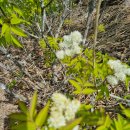 각자도생(各自圖生)뜻 이미지