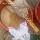 햇 도토리가루 분말 이미지