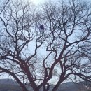 이곡리경로당 이미지