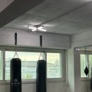 이재일복싱 이미지