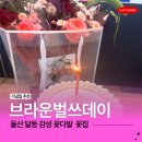 진한솔플라워 | 울산 달동 꽃집 브라운벌쓰데이 꽃다발 케이크 선물 받은 후기