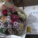 인천개인택시 복지제3충전소 | [공지] 센스홍 x 일본 오사카편 (USJ, 고베, 나라 포함)