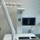 더힐링동물병원