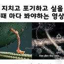 (집)에이스마트(소하2동) | 비마트 에이스 등극-!!