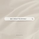 비올라(violla) 이미지