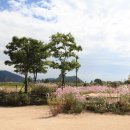 순천문학관 이미지