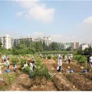 매수농장 이미지