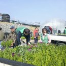 온천2동-4 이미지