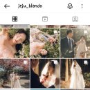 [wedding 05.] 제주스냅 예약 후기(feat.블란도, 유아오)