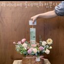 라이네쎄 분당점