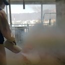 방역수사대