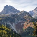 라임오렌지 이미지