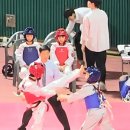 동광태권도 이미지