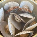 태안노을과바다캠핑앤글램핑 이미지