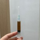 날으는 동물병원 | 공덕동 동물병원 고양이 갈색귀지가 궁금하시다면 <필독>