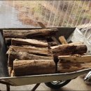 가야산노블레스 이미지