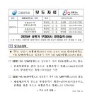 2025년 상반기 보험회사 경영실적(잠정) 이미지