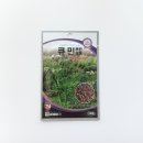 큐민양꼬치