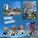 궁동체육관 네이버블로그